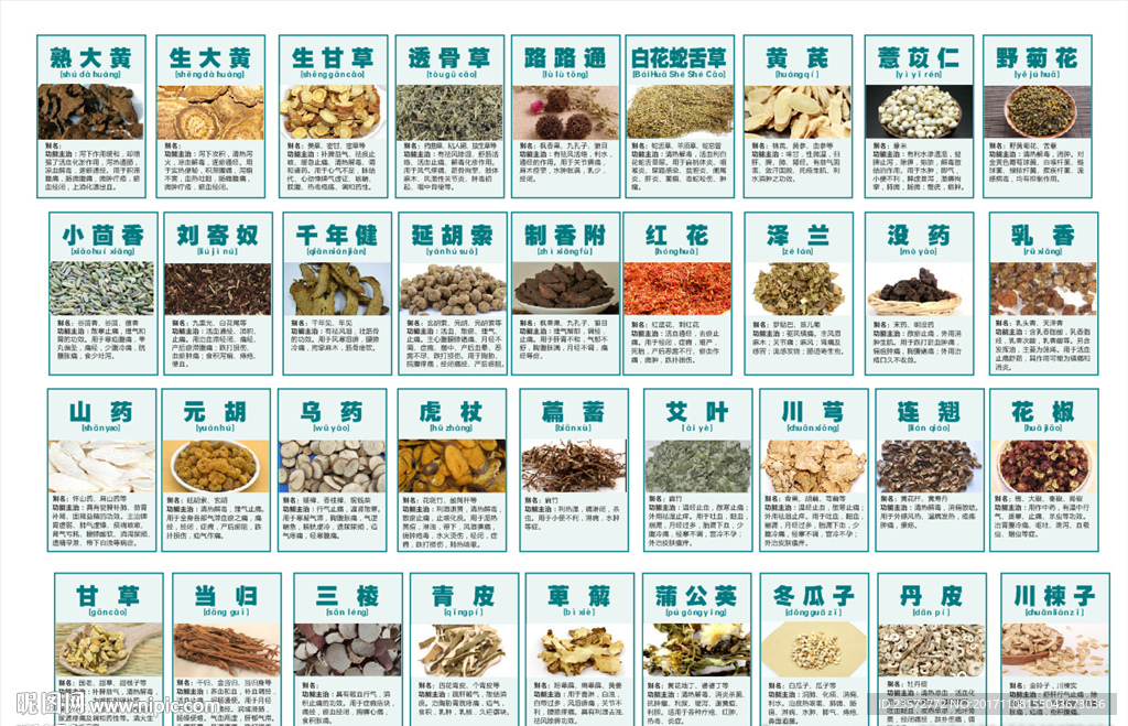 中药标签设计图 融合地产中草药文化与现代美学
