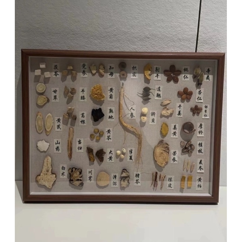 一画一草一世界 当道地中草药住进标本装饰画